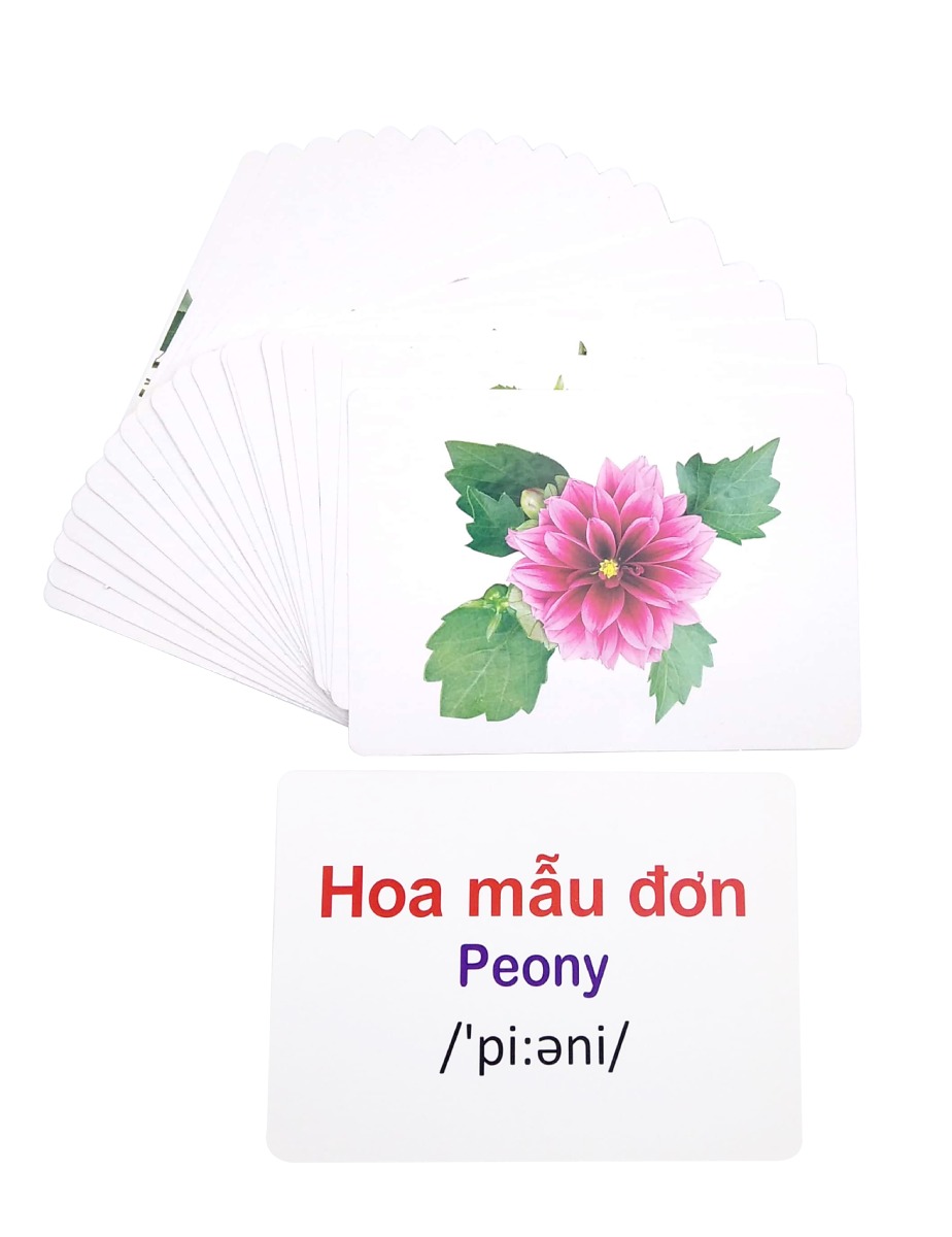 Flashcard Thế Giới Quanh Em: Các Loài Hoa - Flowers