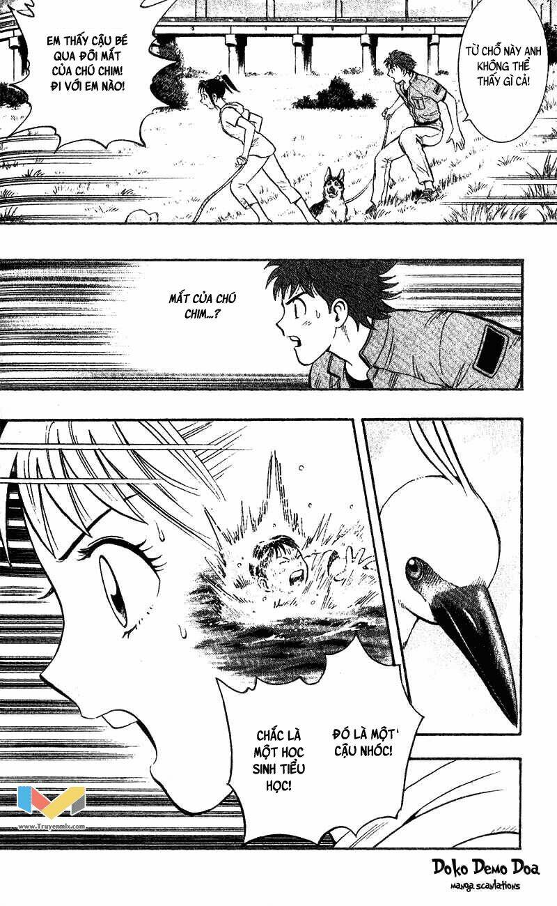 animal sense chapter 4 18