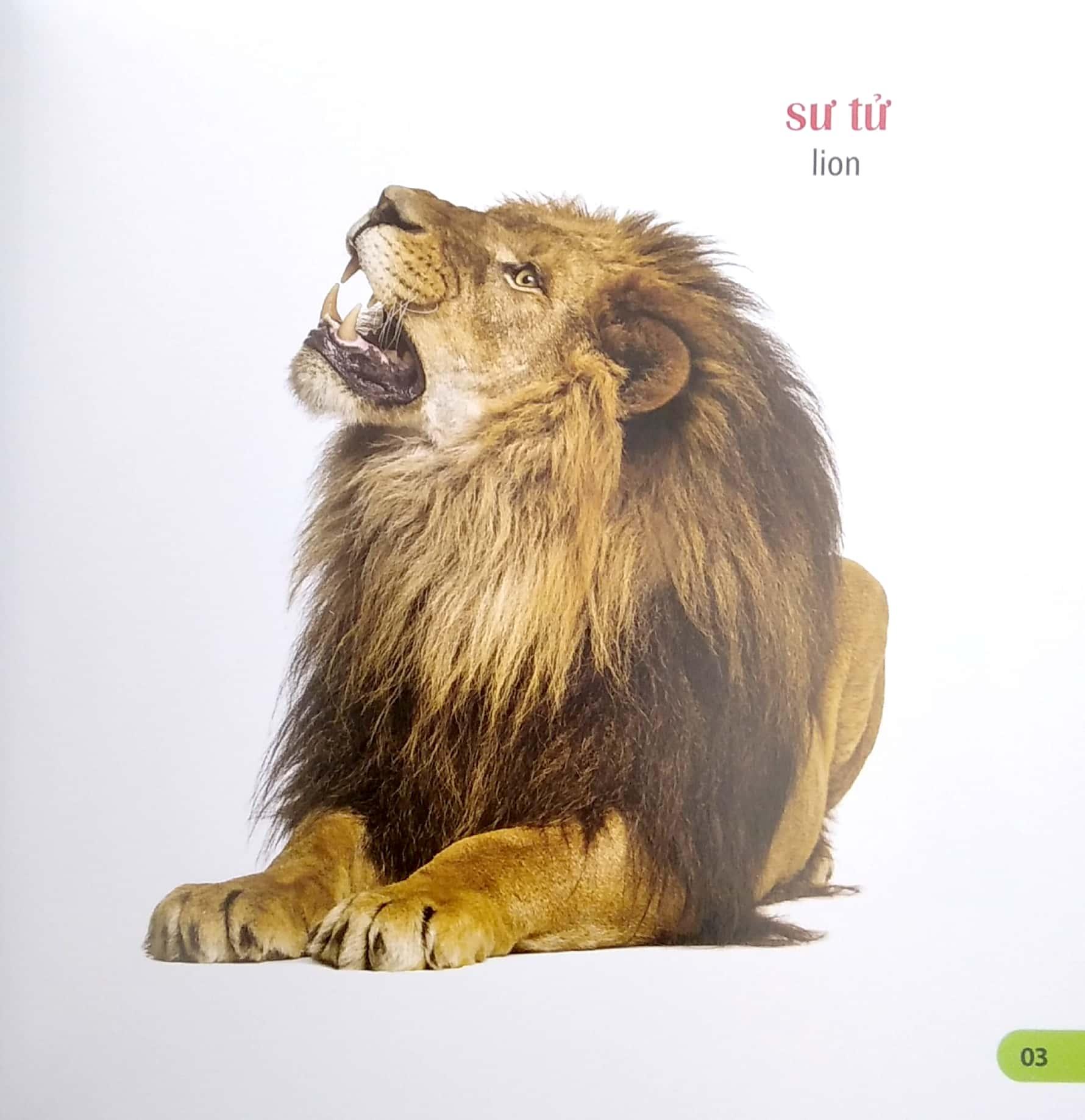 100 Từ Đầu Tiên Của Bé - Các Loài Vật