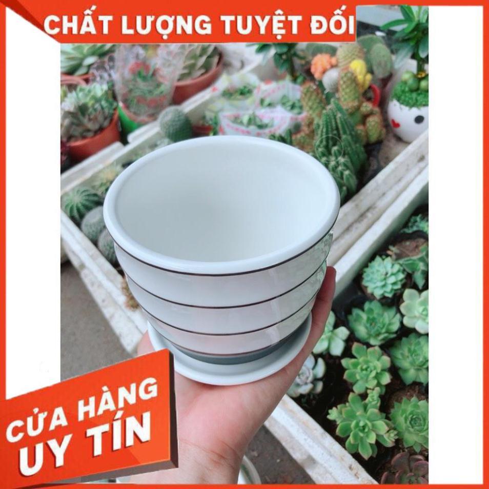 Chậu kiểu trắng đen tráng men cao cấp kèm dĩa lót
