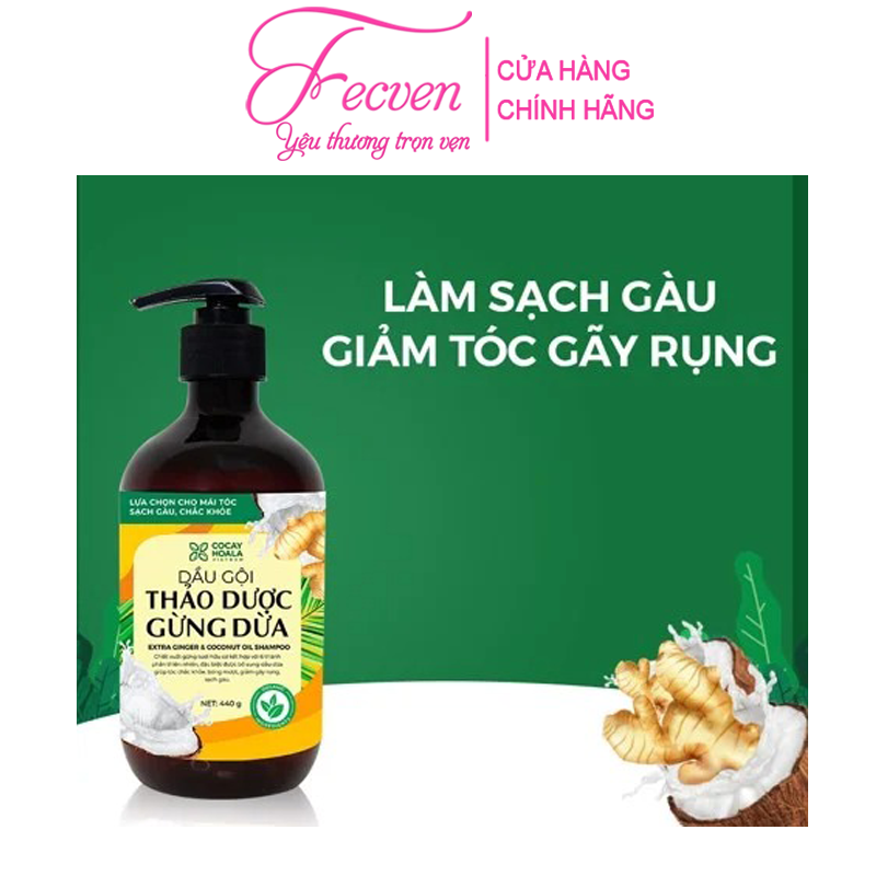 Dầu Gội Xả Gừng Dừa Hữu Cơ Cocayhoala Ngăn Rụng Tóc Kích Thích Mọc Tóc - Giảm Gàu - Ngừa Cảm Lạnh - Dưỡng Tóc Mềm Mượt Chắc Khỏe, FECVEN