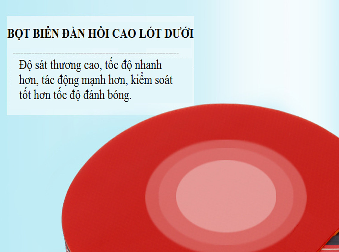 Bộ 2 Vợt Bóng Bàn Chính Hãng Amalife + Túi Đựng Vợt Bóng Bàn + 3 Bóng