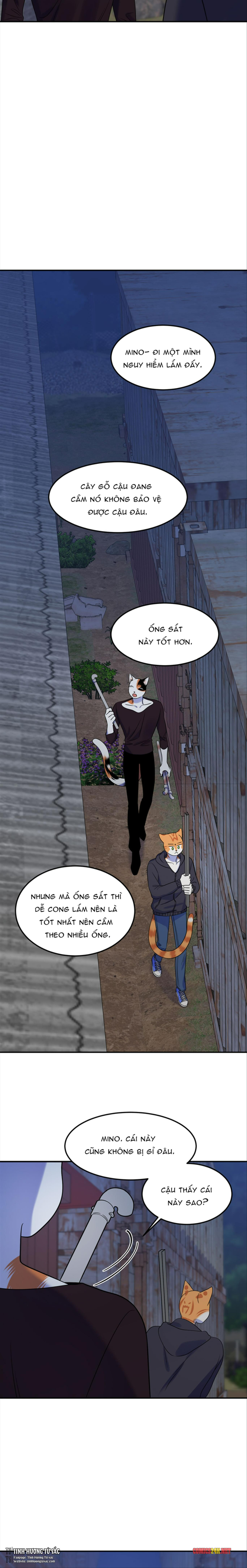 dự án xanh chapter 17 11