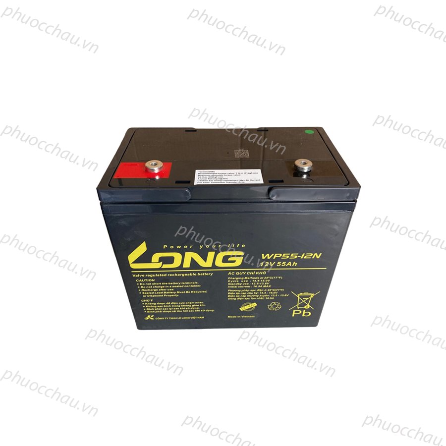 Ắc Quy LONG WP55-12N (12V-55Ah)