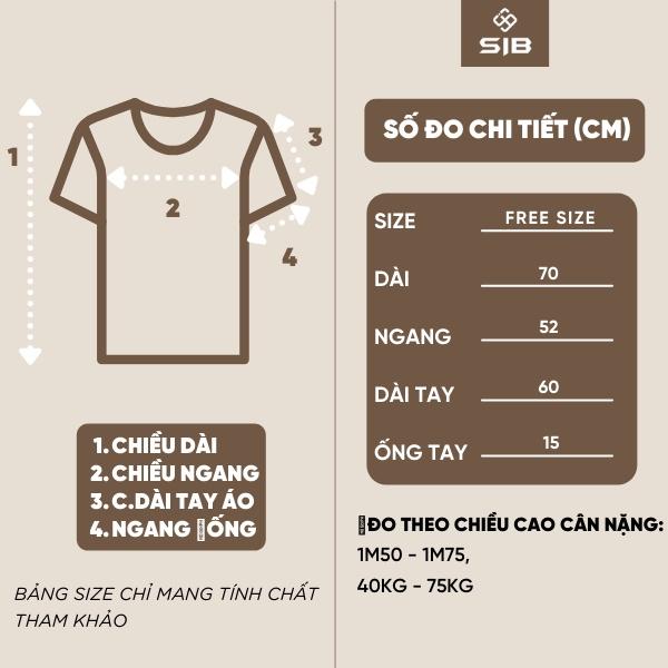 Áo phông dài tay SIB Clothing áo thun tay dài form rộng nam nữ SIB003