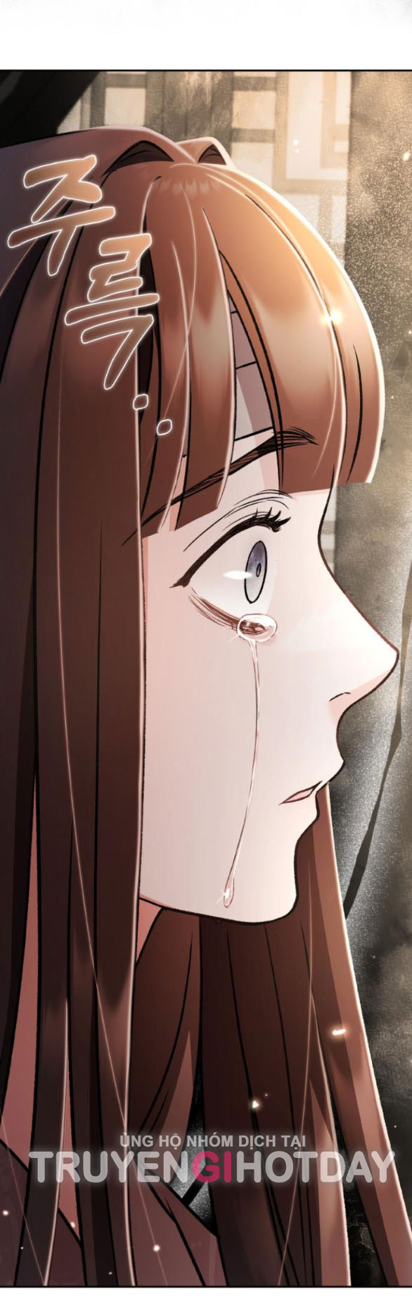 bản tình ca heeran chapter 61.2 12