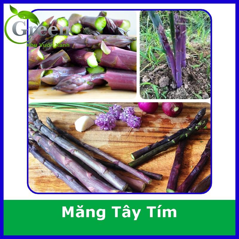 Hạt Giống Măng Tây Tím