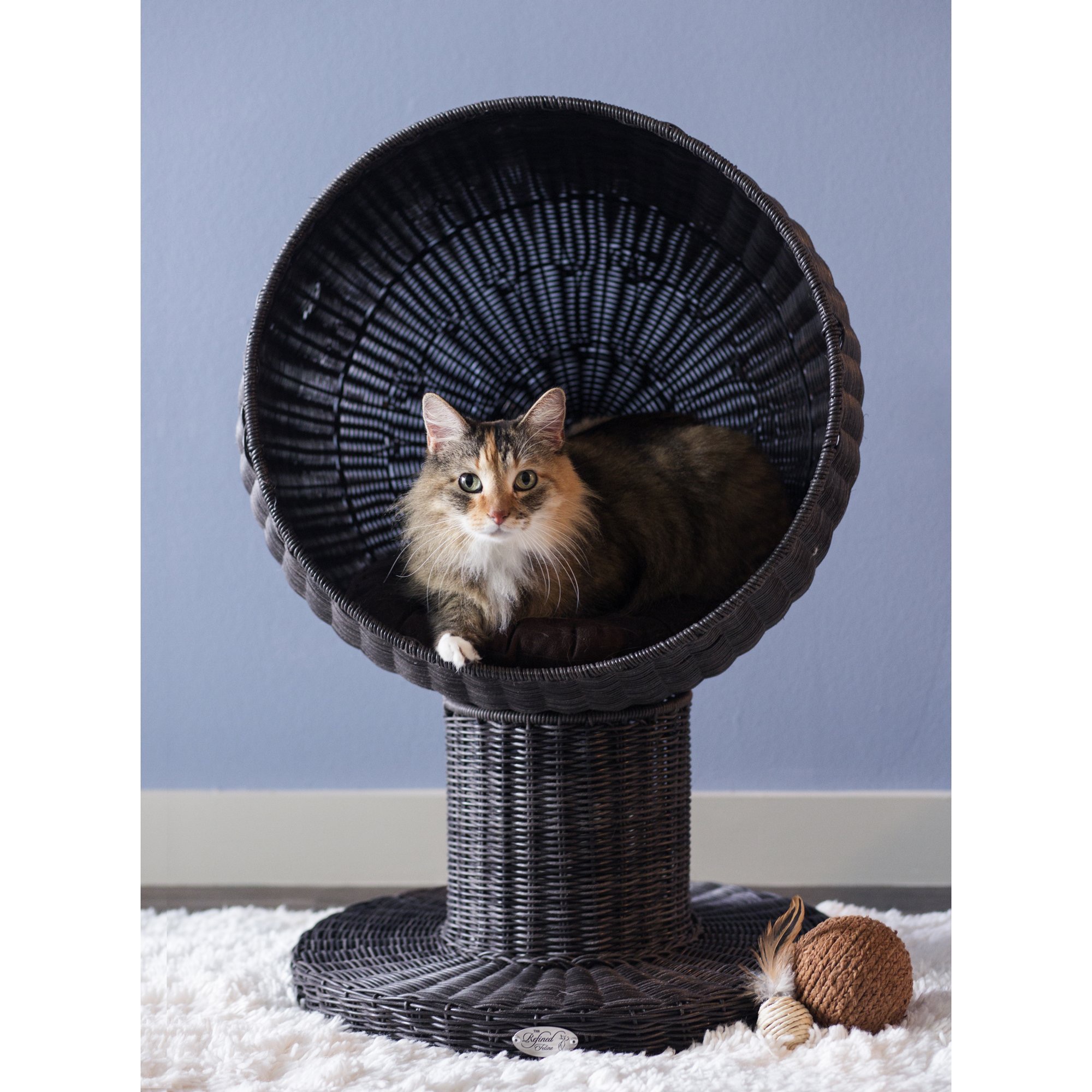 Kitty ball bed