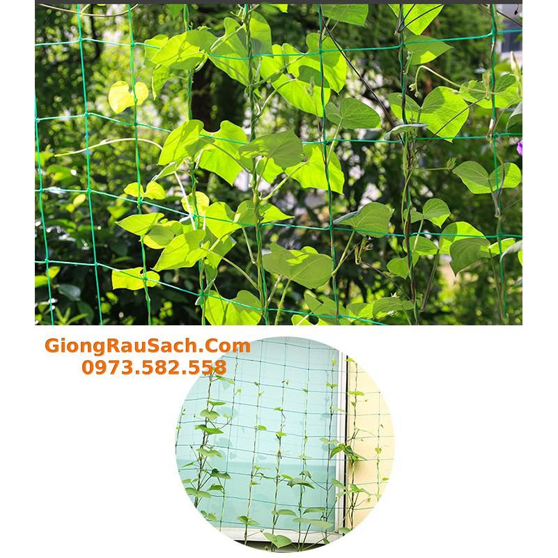 Lưới Leo Giàn Cho Cây Leo Dưa Chuột, Bầu Bí Mướp Đậu… Mắt Lươi 10*10cm Các size