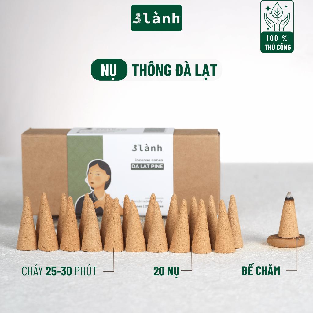 Nụ Thủ Công Thông Đà Lạt 3 Lành Hộp 20 Mùi 100 % Tự Nhiên Tặng Kèm Đế Chăm, Không Hóa Chất Xông Thơm
