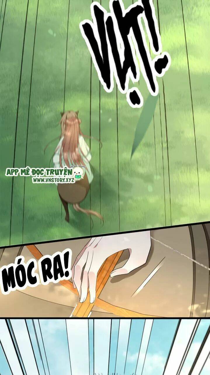 phượng hoàng vu phi chapter 51 38