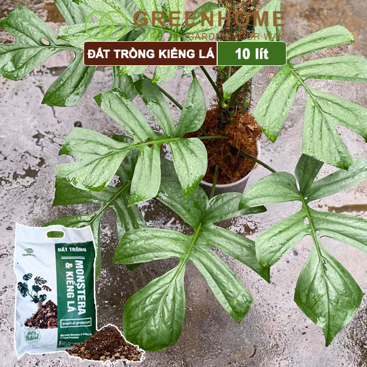 Đất trồng Monstera, kiểng lá, bao 10 lít , giá thể trộn sẵn, đầy đủ chất Tropical Premium |Greenhome