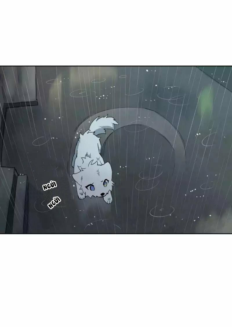 lumine - cội nguồn ánh sáng chapter 23 18