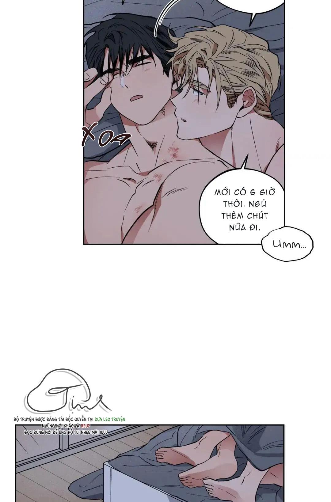 love plan chapter 6 66