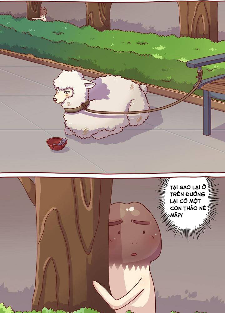 cây nấm kì khả chapter 20 2