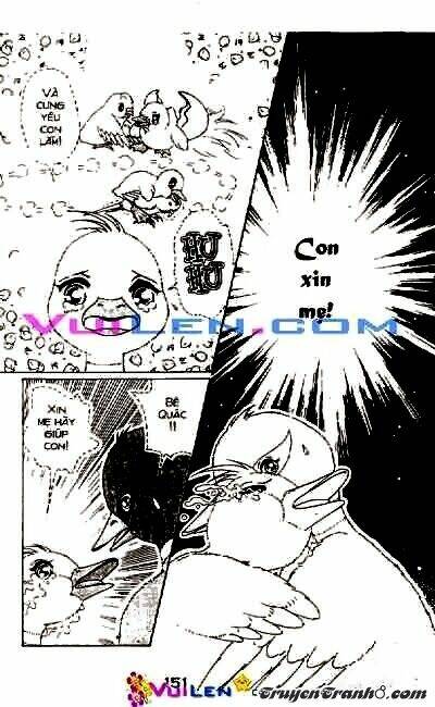 đóa hoa yêu kiều chapter 3 152