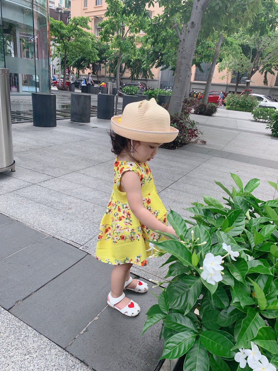 Váy hoa màu sắc Lennco