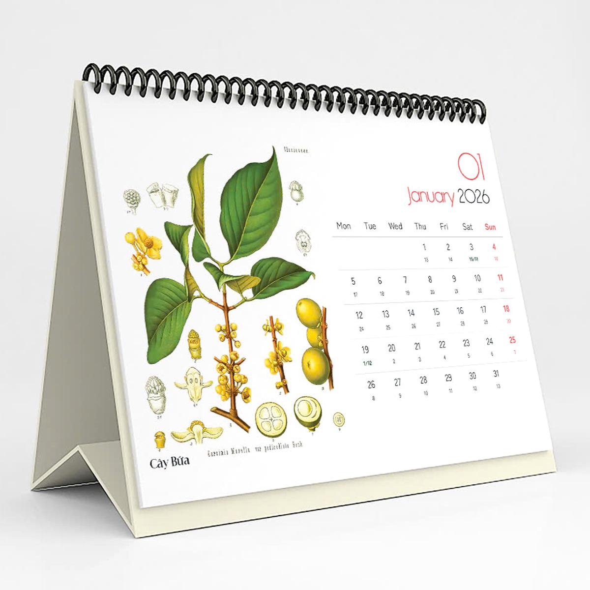 Lịch Bàn 2026 - Botanicals &amp; Herbs - Nguyễn Trắc