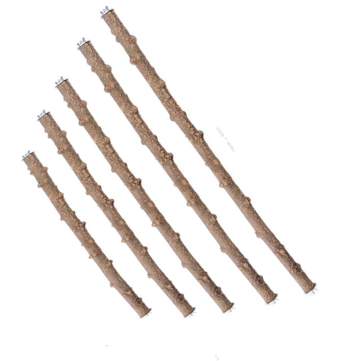 1 CÂY ĐẬU GỖ GẠO SIÊU CỨNG CÁP (CÓ GẮN 2 BÊN PASS) DÙNG ĐỂ LẮP VÀO LỒNG CHIM CHO CHIM, VẸT ĐẬU