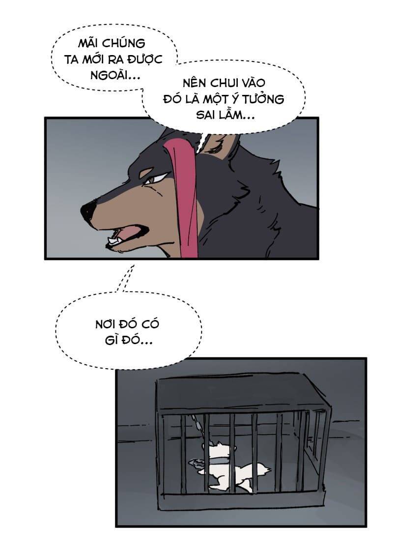 lumine - cội nguồn ánh sáng chapter 149 22