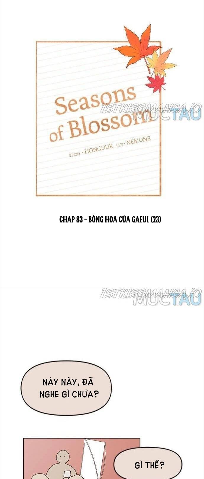 thanh xuân rực rỡ - season of blossom chapter 83 32