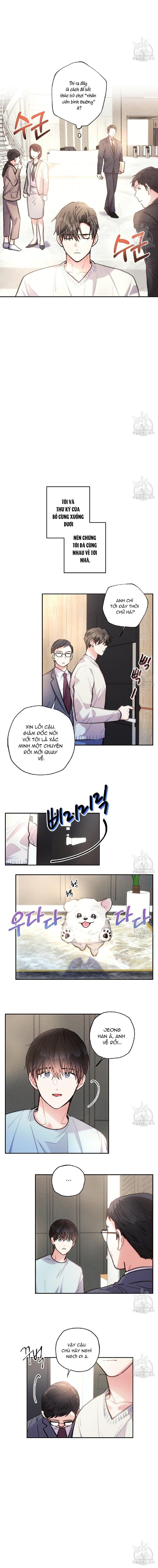 mưa giông chapter 54 8