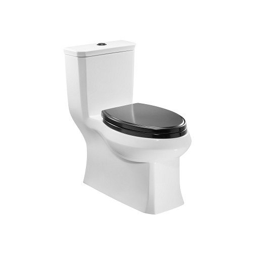 Bồn Cầu Moen SW3332C1/SW9332 1 Khối NEO CLASSIC Moen