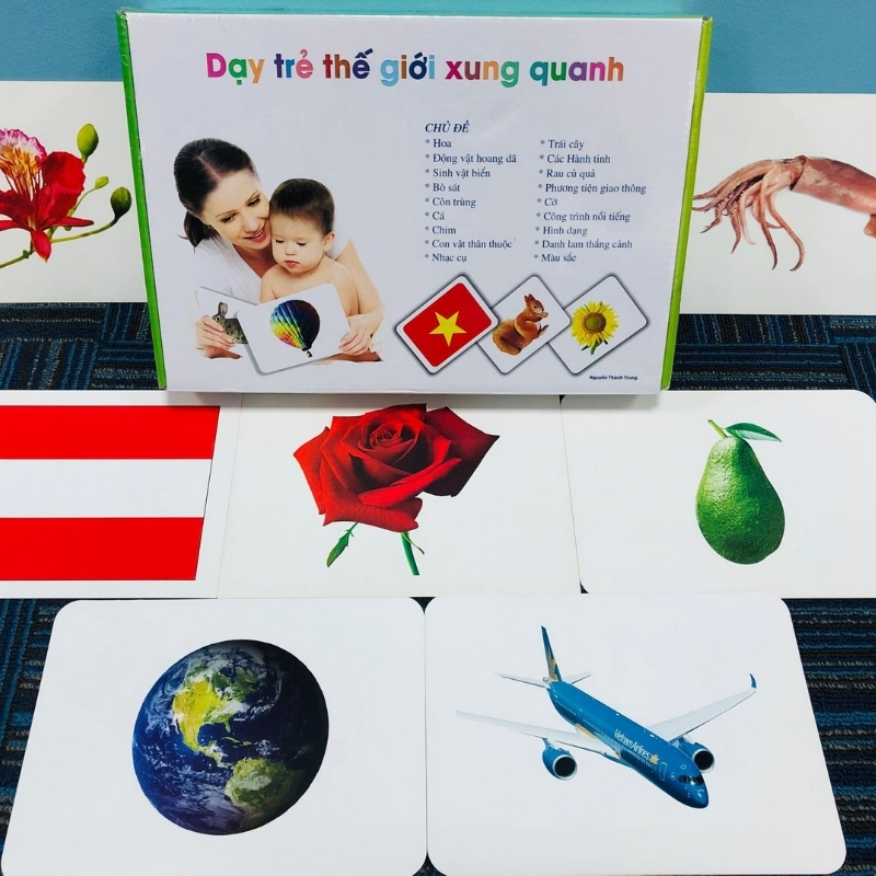 Thẻ  FlashCard Glenn Doman Cho Bé  - Bộ 100  Thẻ Thế Giới Xung Quanh