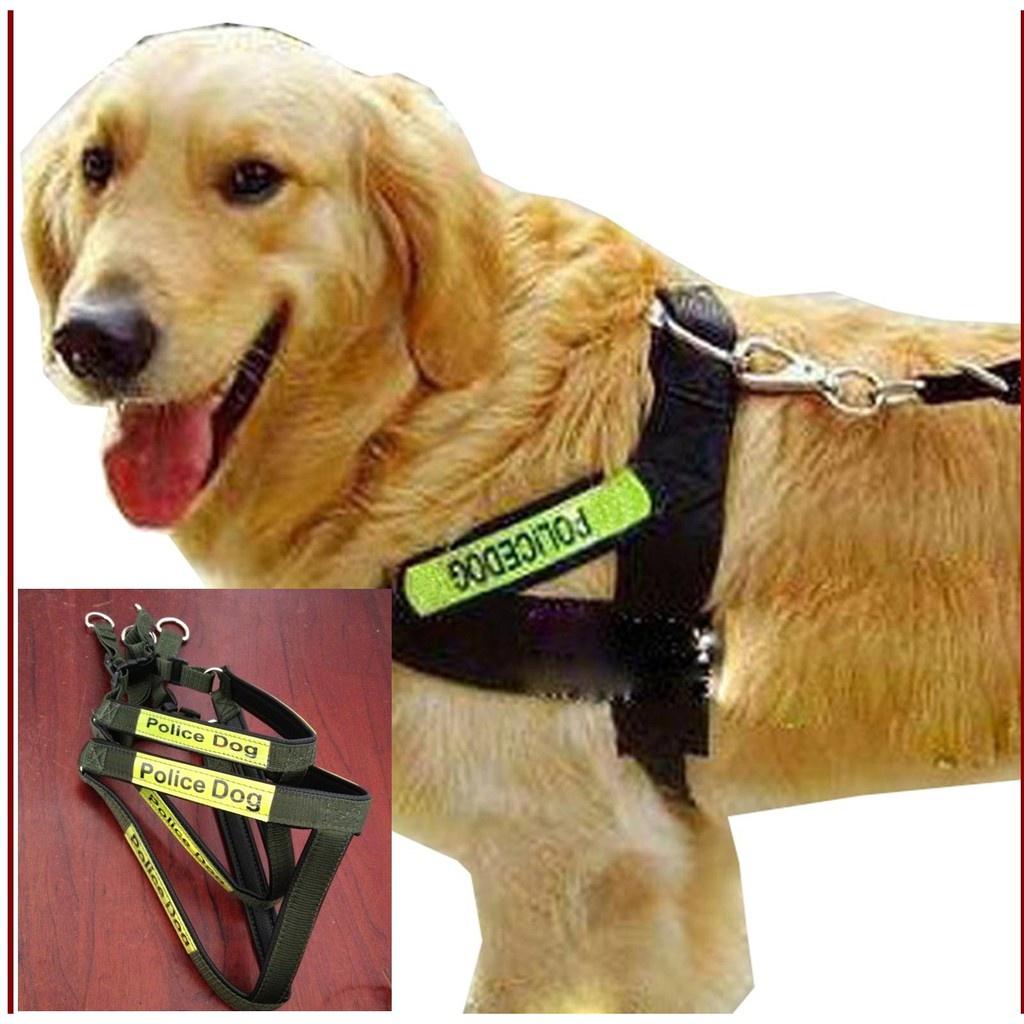 Bộ dây dắt yếm cho chó lớn Police Dog ( 3 size )