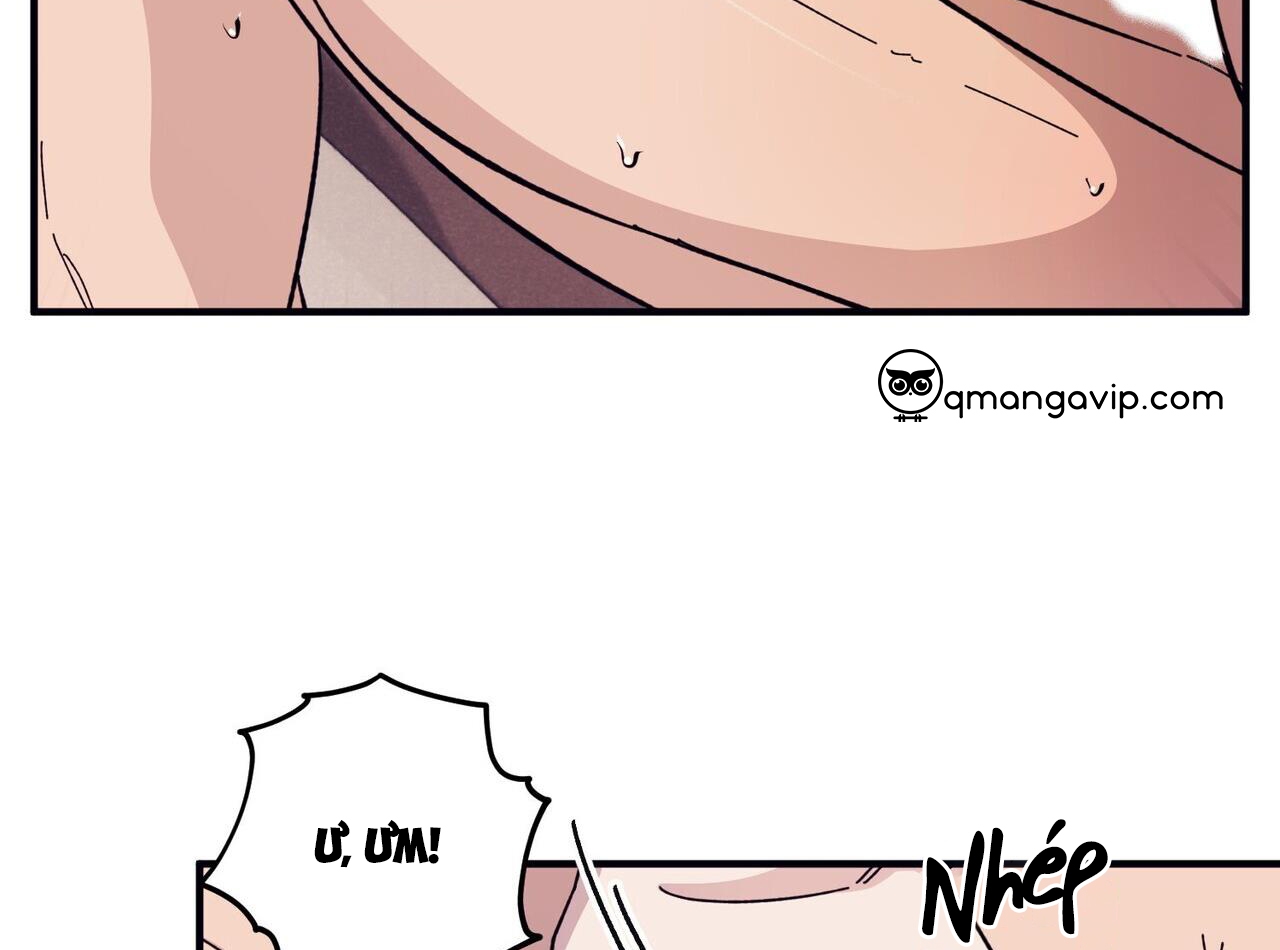 chàng dâu nhà họ kang chapter 44 80