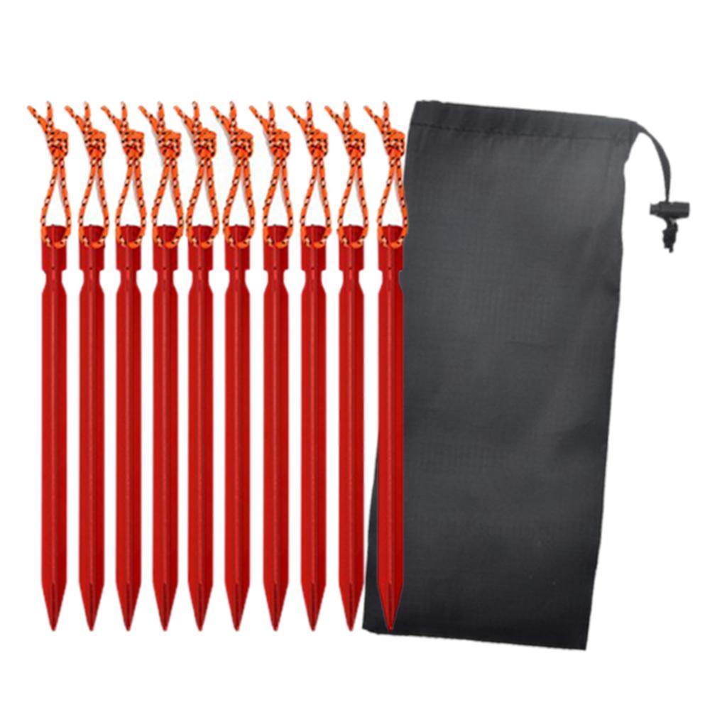 Professional Stainless Steel Ground Nails for Picks for Picks