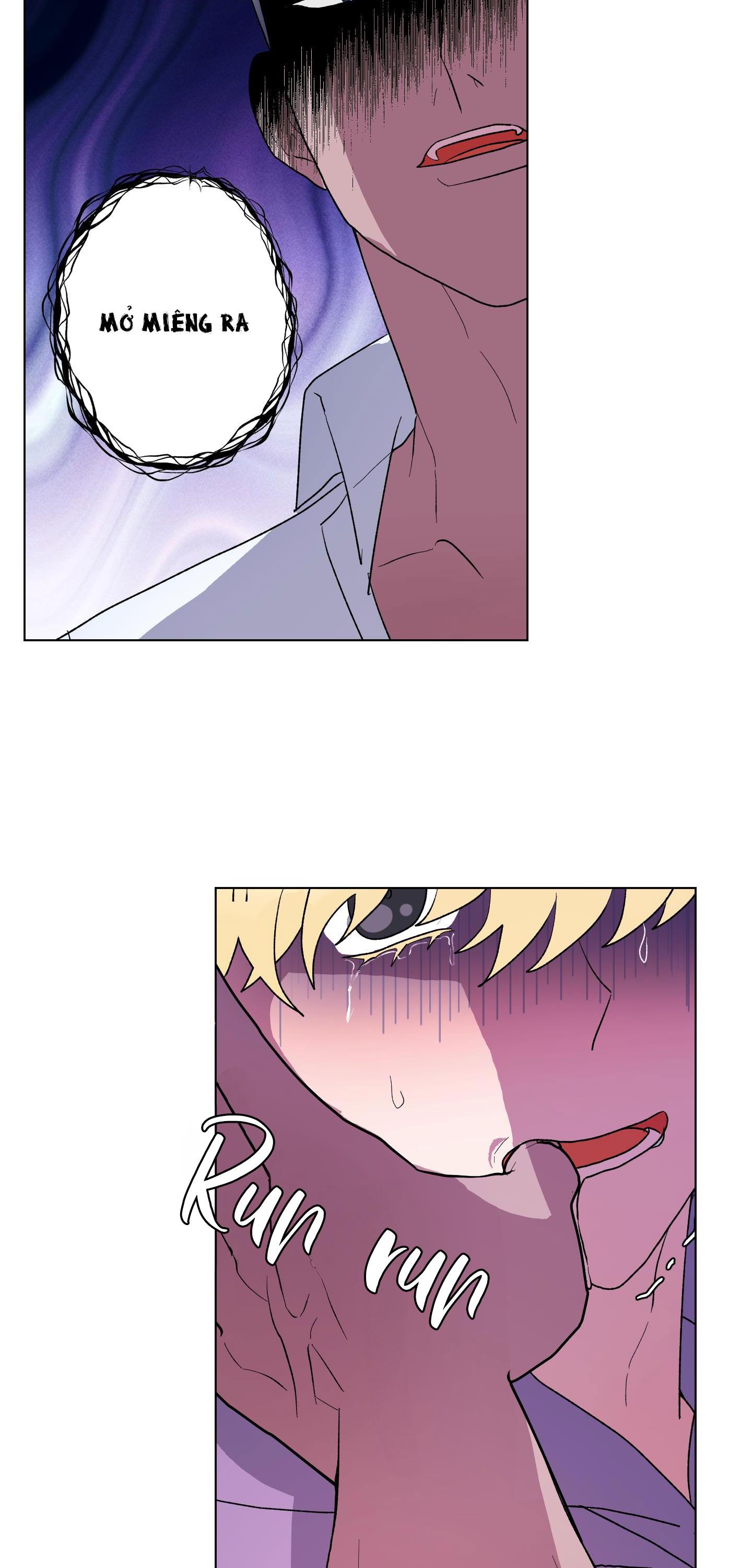 cá mập và cô dâu thỏ chapter 8 10