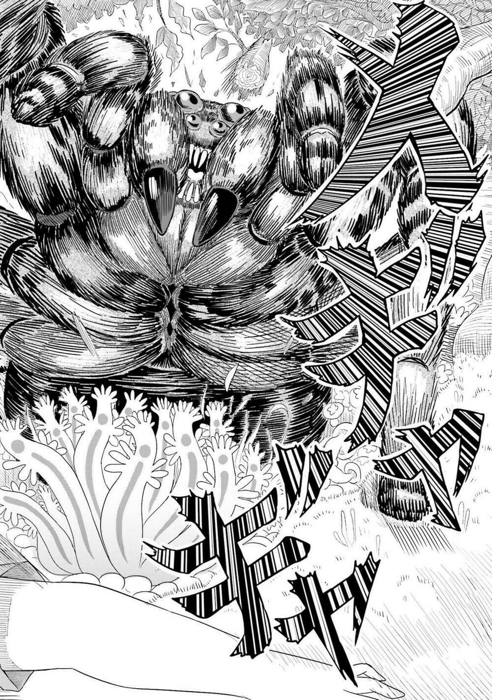 maiden order chapter 1 24