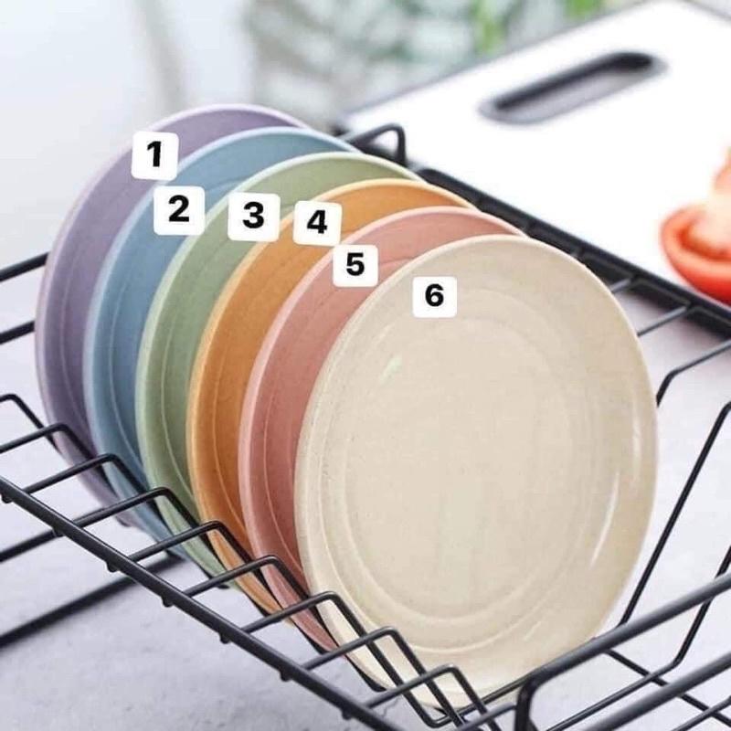 Set 6 đĩa lúa mạch sắc màu