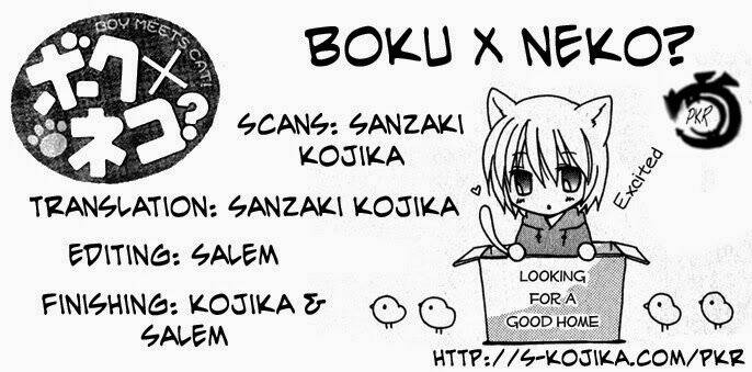 boku x neko? chapter 3.1 1