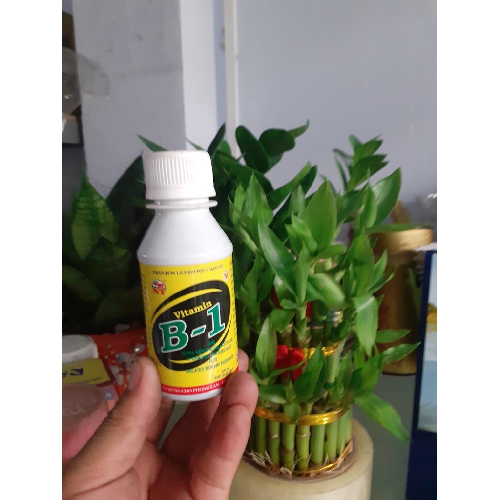 Chai 100ml ra rễ cực mạnh vitamin B1.