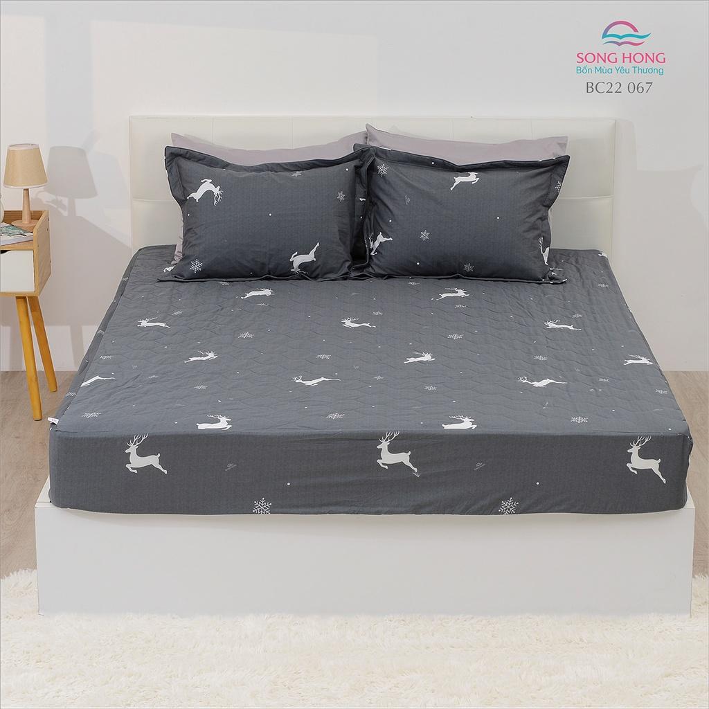 Bộ Ga chun chần Sông Hồng basic - Chất cotton