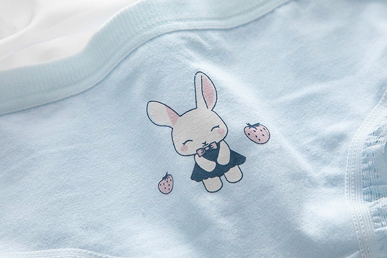Combo 5 quần lót nữ cotton dễ thương Freesize - Kiểu Thỏ xanh (giao màu ngẫu nhiên)