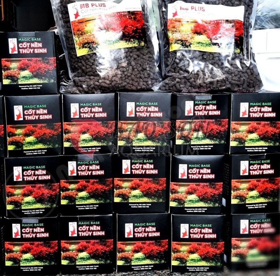 Cốt Nền Thủy Sinh Magic Base