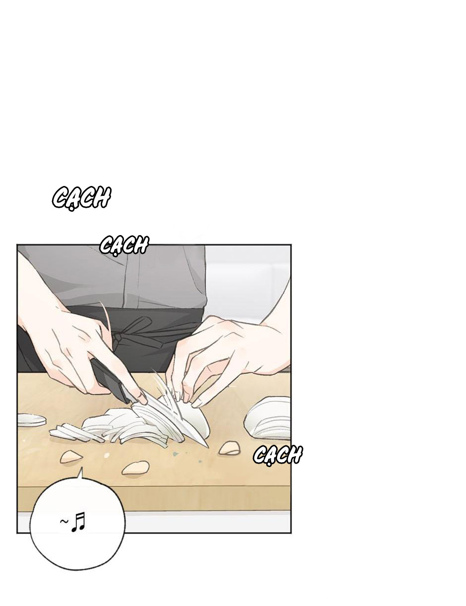 yêu hay không yêu chapter 19 1