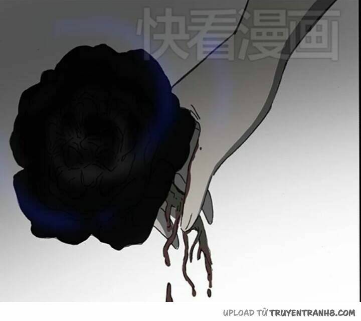 hoa mẫu đơn đen chapter 6 33
