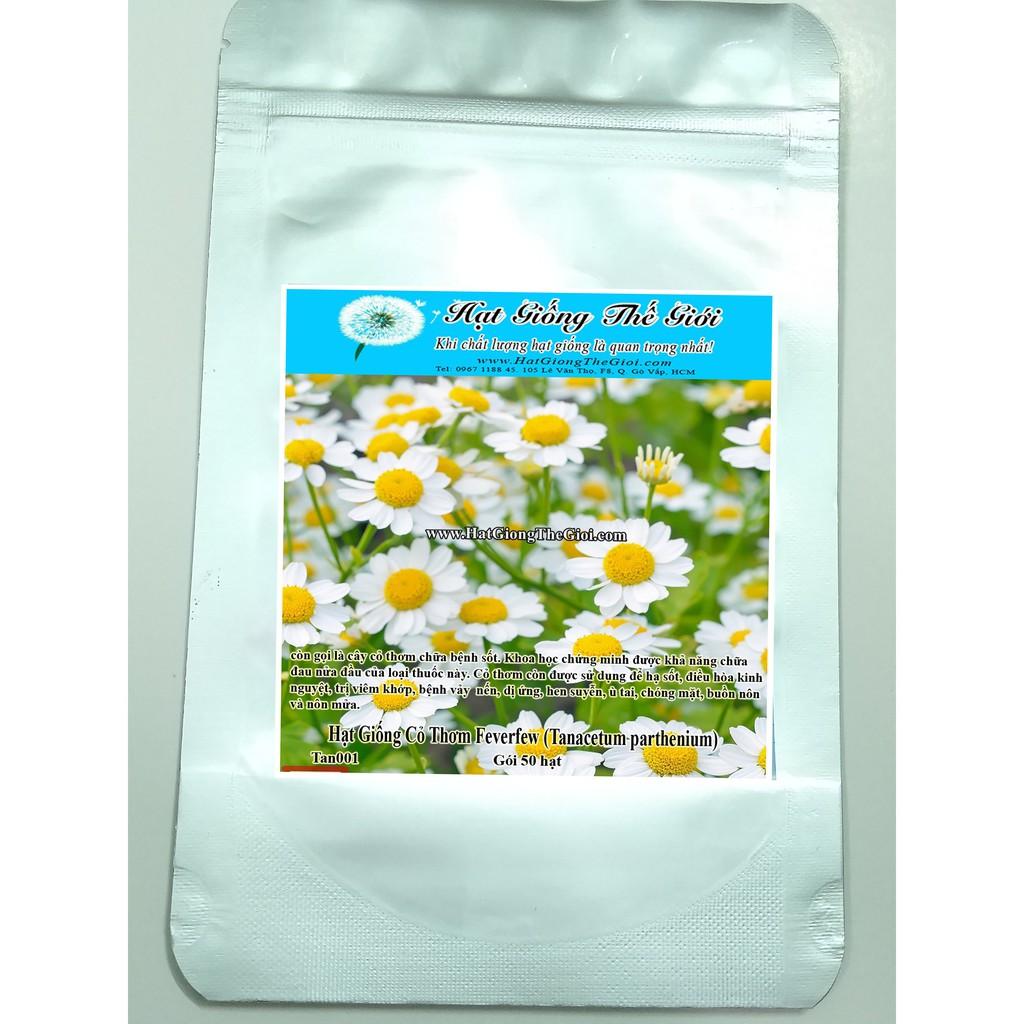 50h Hạt Giống Cỏ Thơm Feverfew Cúc TANA Trị Đau Nửa Đầu (B3.203| A4*W33)