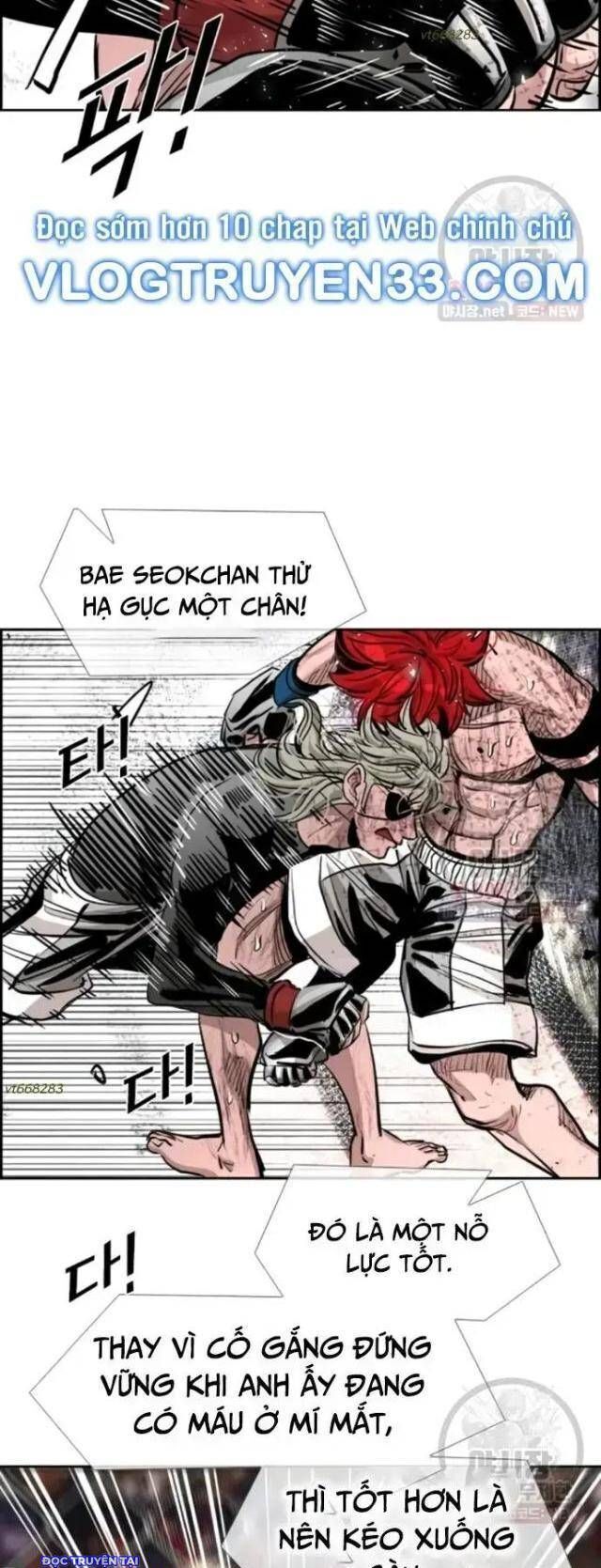 shark - cá mập chapter 210 31