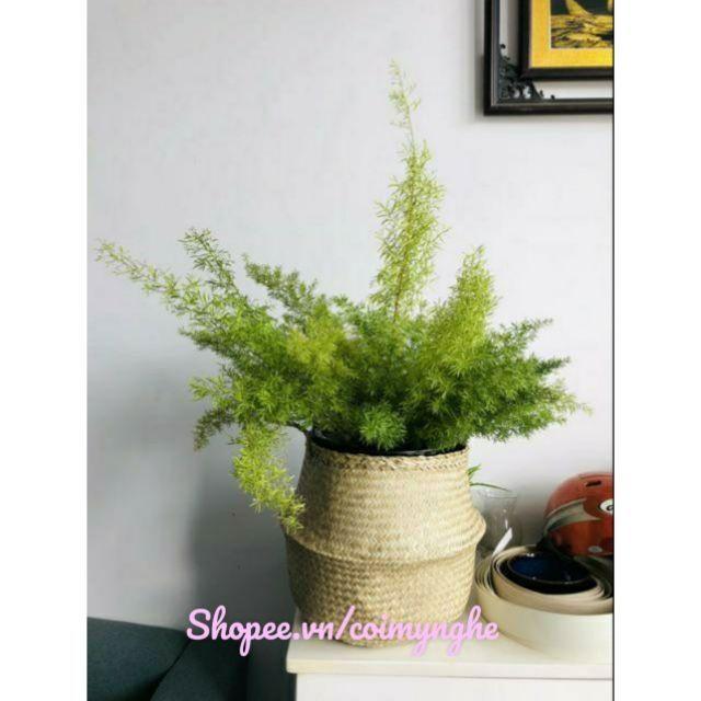 Giỏ cói size 35 cm