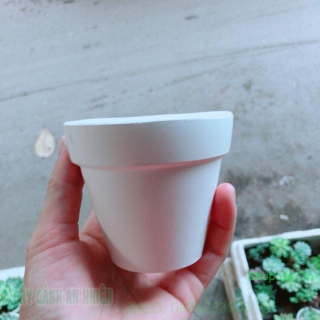 Chậu Trồng Cây