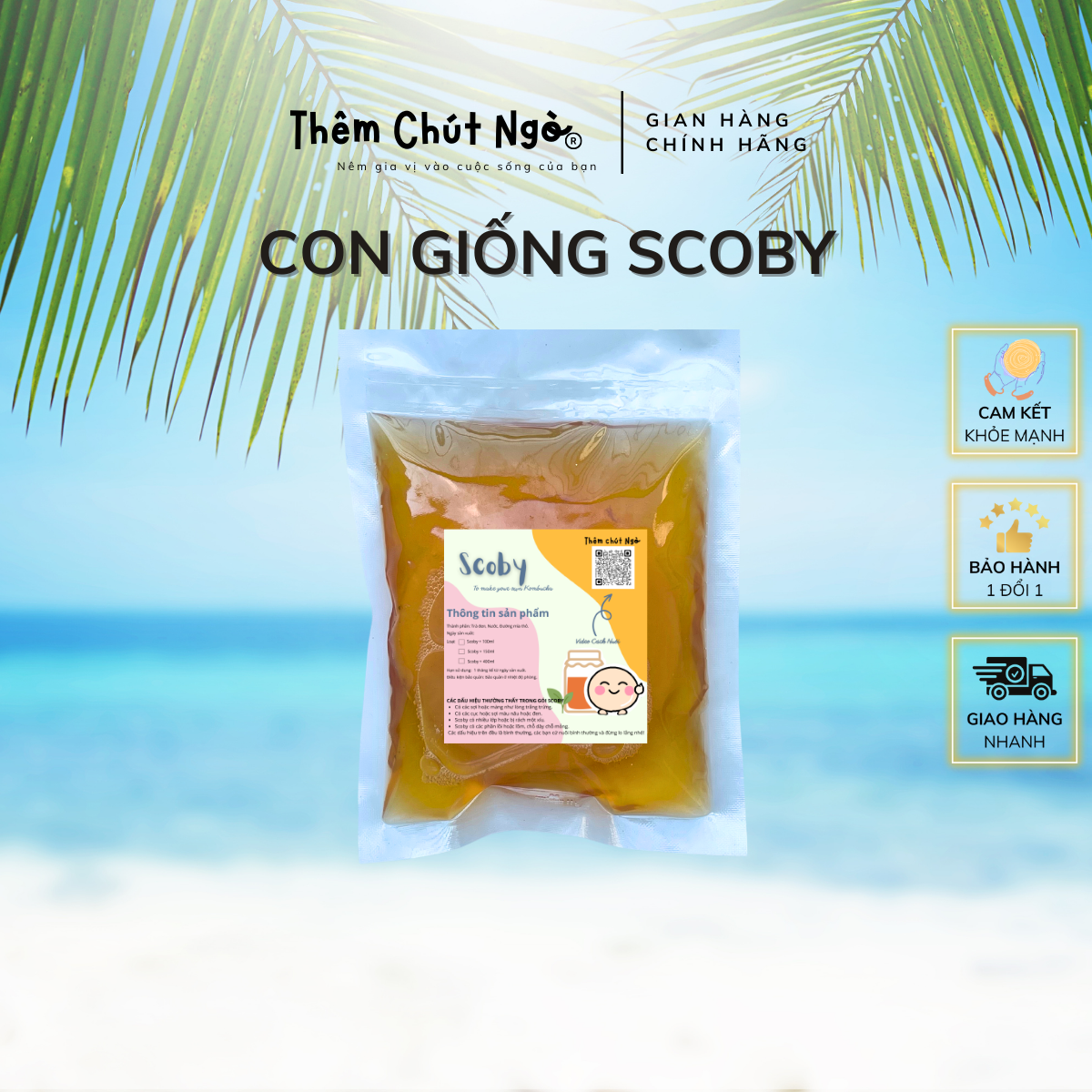 Scoby làm trà Kombucha, con giống Kombucha kèm nước mồi 150ml, con giống làm trà Kombucha