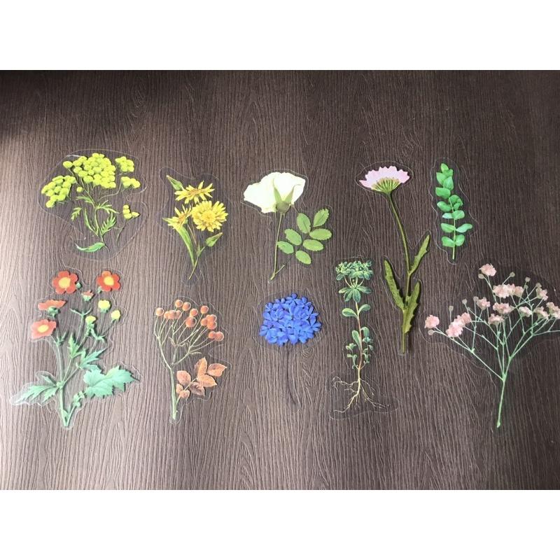 Set 10 sticker dán tranh trí xinh xắn hình hoa lá