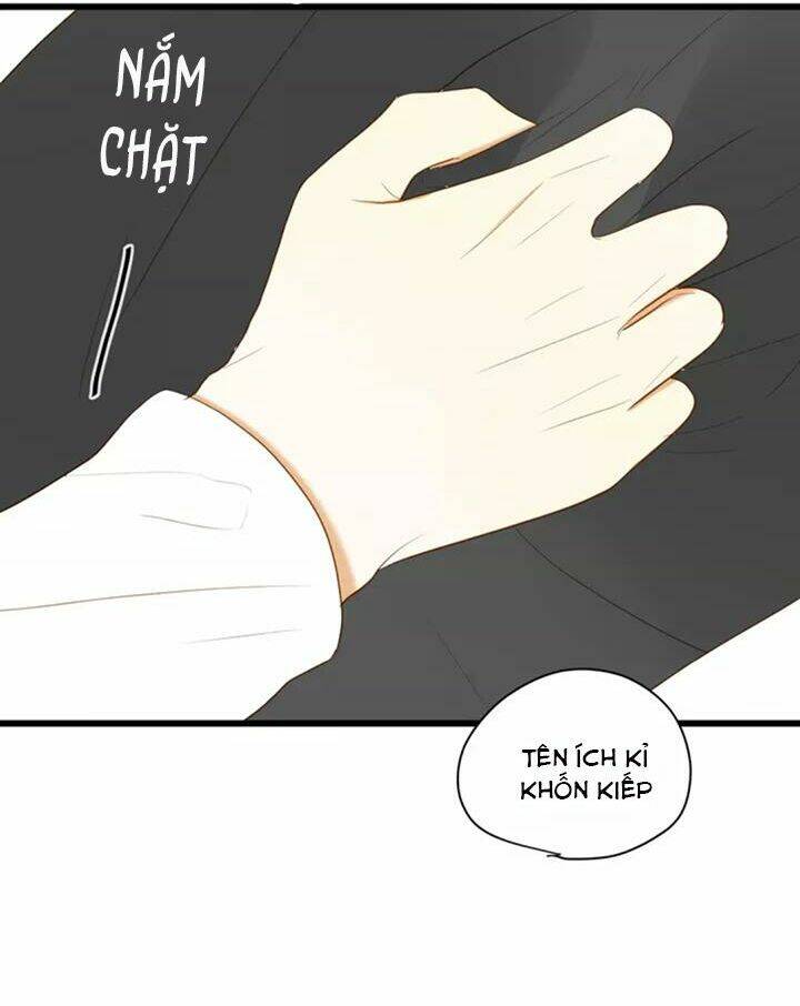 điều giáo quan hệ chapter 28 7