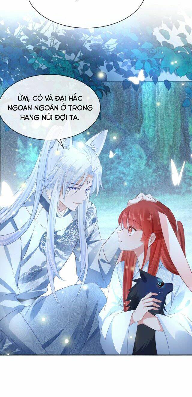 hắc hóa nam chính trực tuyến nuôi thỏ chapter 20 15