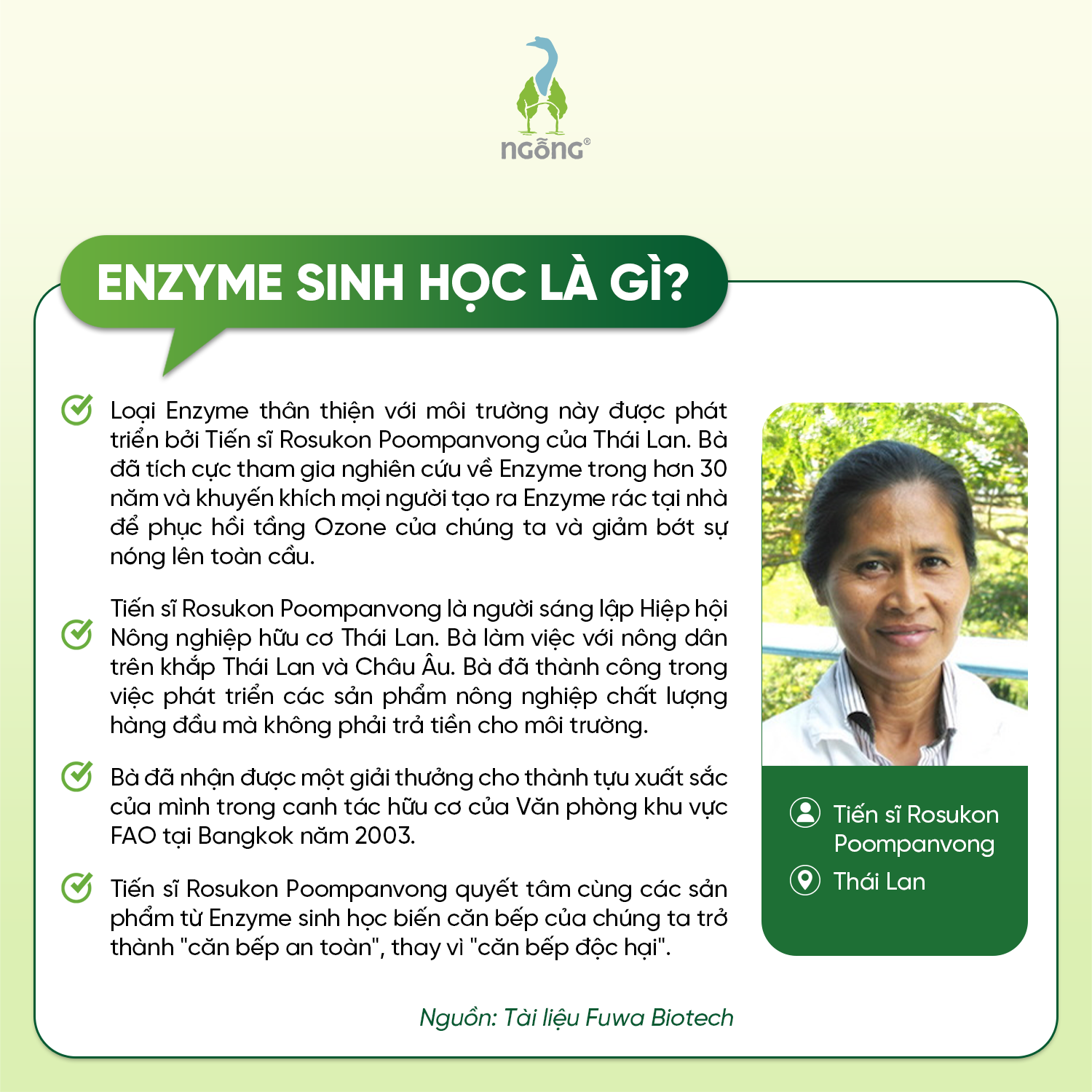 Nước Ngâm Rửa Thực Phẩm Fuwa3e Làm Sạch Th.uốc B.ảo Vệ Thực Vật Khử Mùi An Toàn Cho Bé 1L, 3.8L